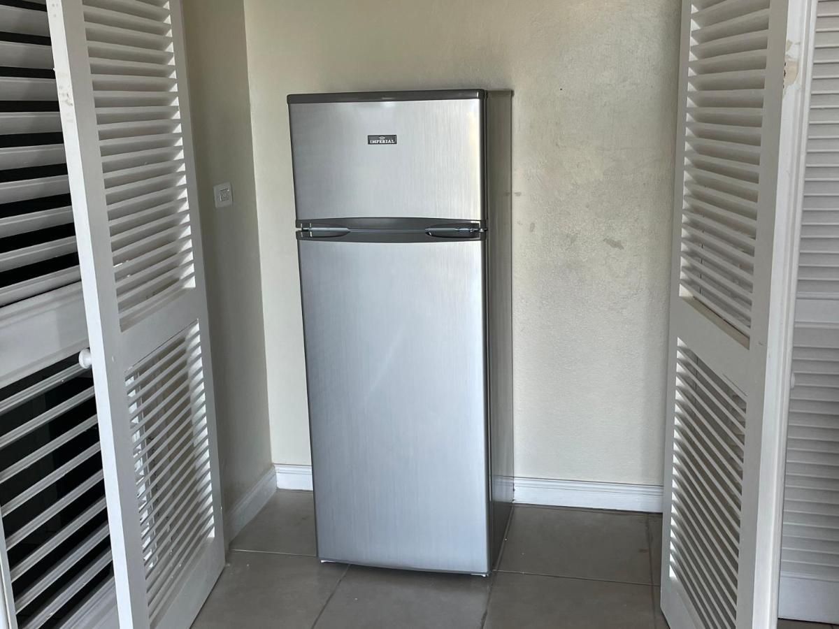 Hummingbird Retreat - Luxury Oceanview Apt, 7-Minute Walk To Beach Ocho Ríos Extérieur photo