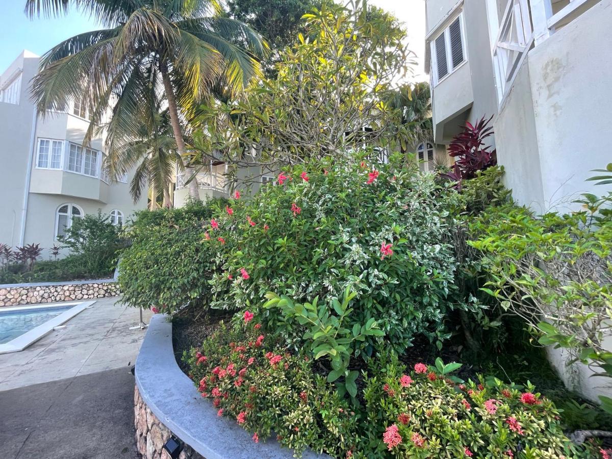 Hummingbird Retreat - Luxury Oceanview Apt, 7-Minute Walk To Beach Ocho Ríos Extérieur photo